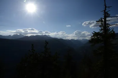 DSC_3541 (Large).JPG